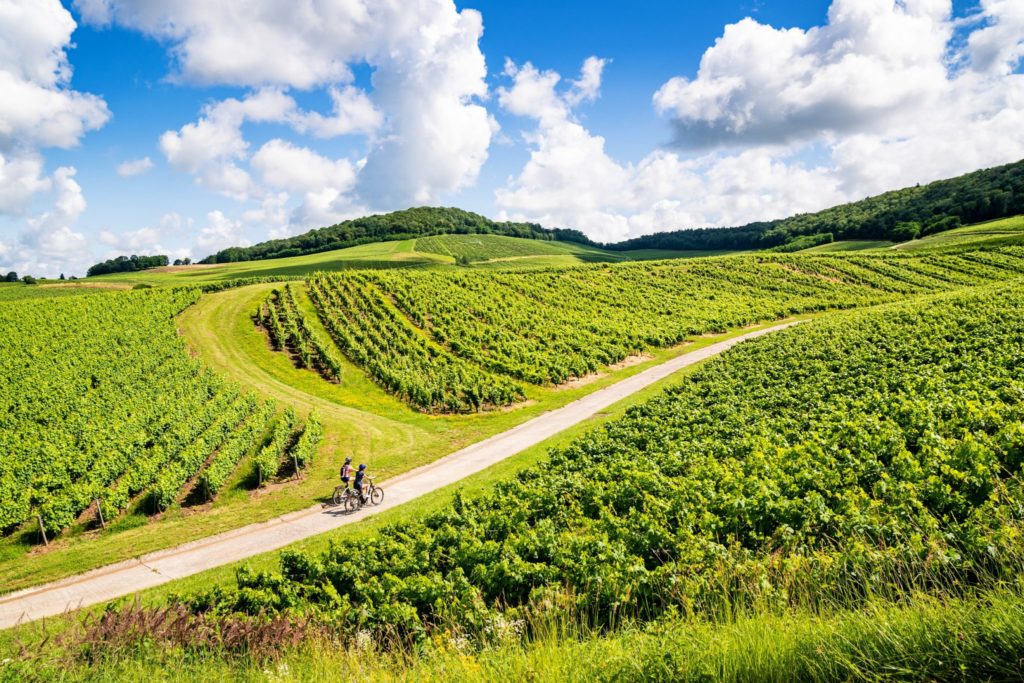 VAE dans les vignes du Vernois © Benjamin Becker/Jura Tourisme 