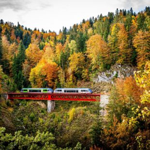 Ligne des Hirondelles