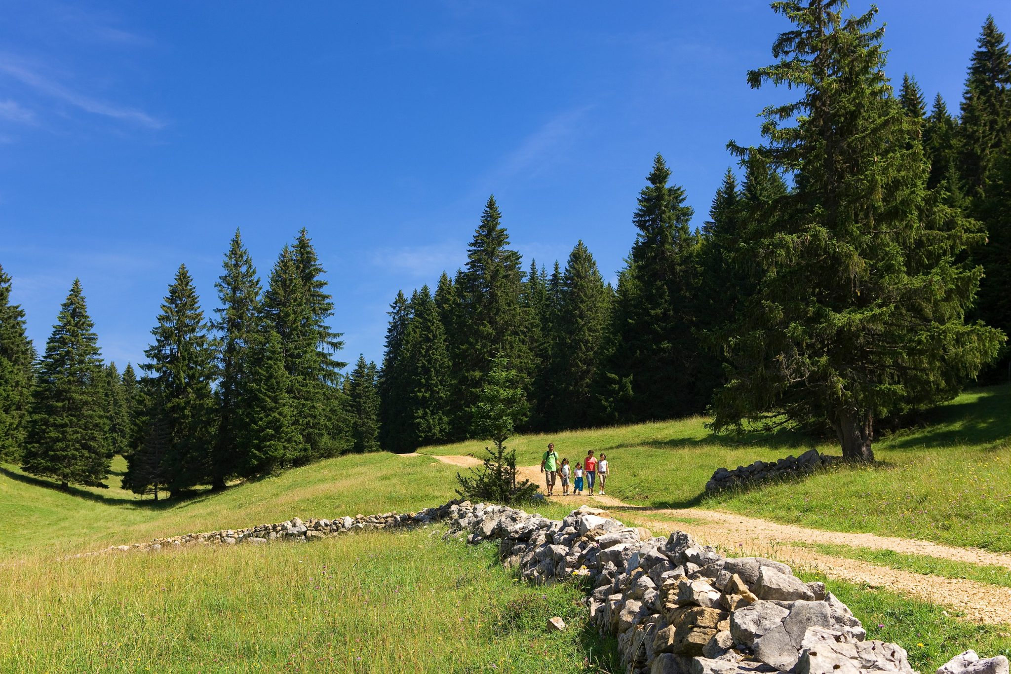 Le Jura en Été, que faire en été dans le Jura Jura Tourisme