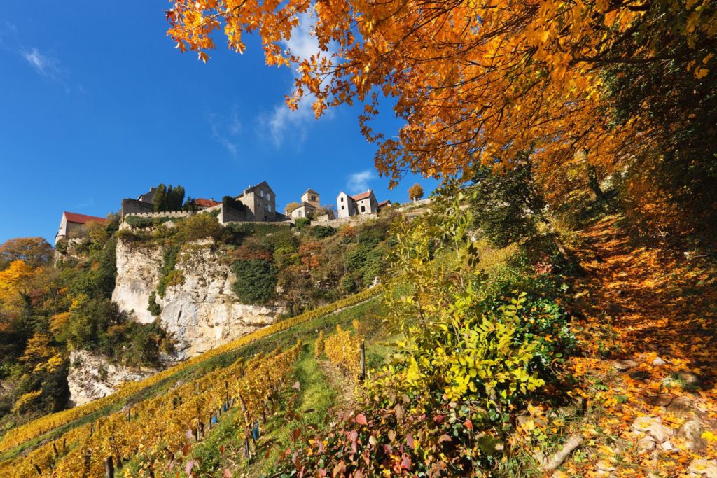 Vigne et village de Château-Chalon © Stéphane Godin/Jura Tourisme