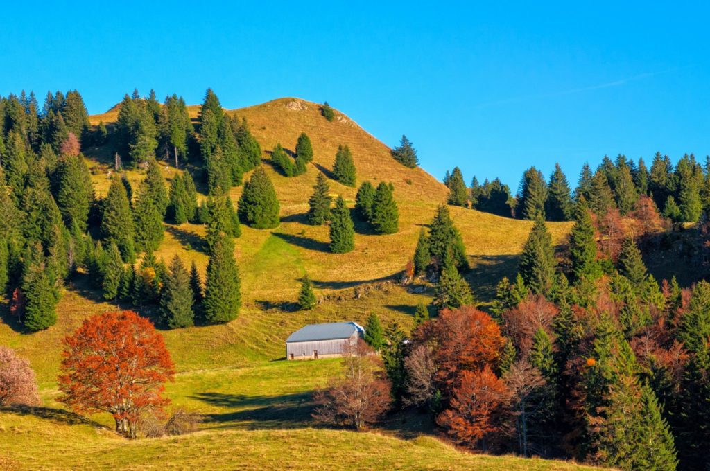 Ferme dans les Hautes-Combes © Vincent Edwell/JuraTourisme 