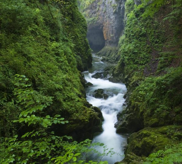 Gorges de la Langouette © Stéphane Godin/Jura Tourisme