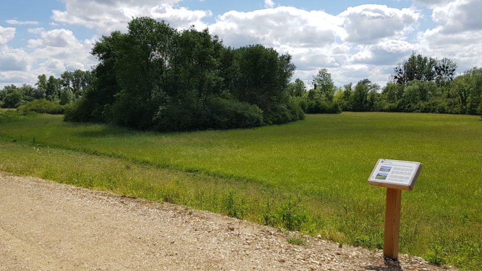 Réserve Naturelle Nationale de l'île du Girard © Jura Tourisme