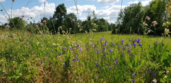 Balade en pleine nature à la réserve naturelle de l’île du Girard
