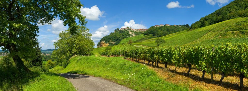 Vue sur Château-Chalon © Stéphane Godin/Jura Tourisme
