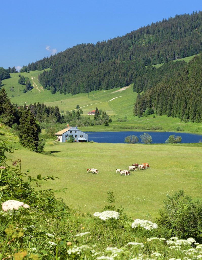 Lac de Lamoura - Station des Rousses © Stéphane Godin/Jura Tourisme