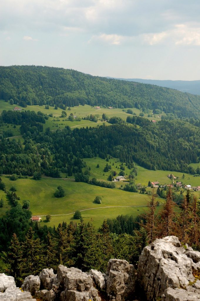 Vue depuis la Roche Devant © Jack Carrot / Haut-Jura Arcade
