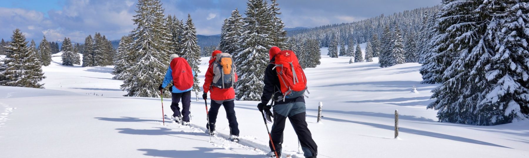 Groupe en ski de fond dans le Grandvaux © Jack Carrot/Jura Tourisme 