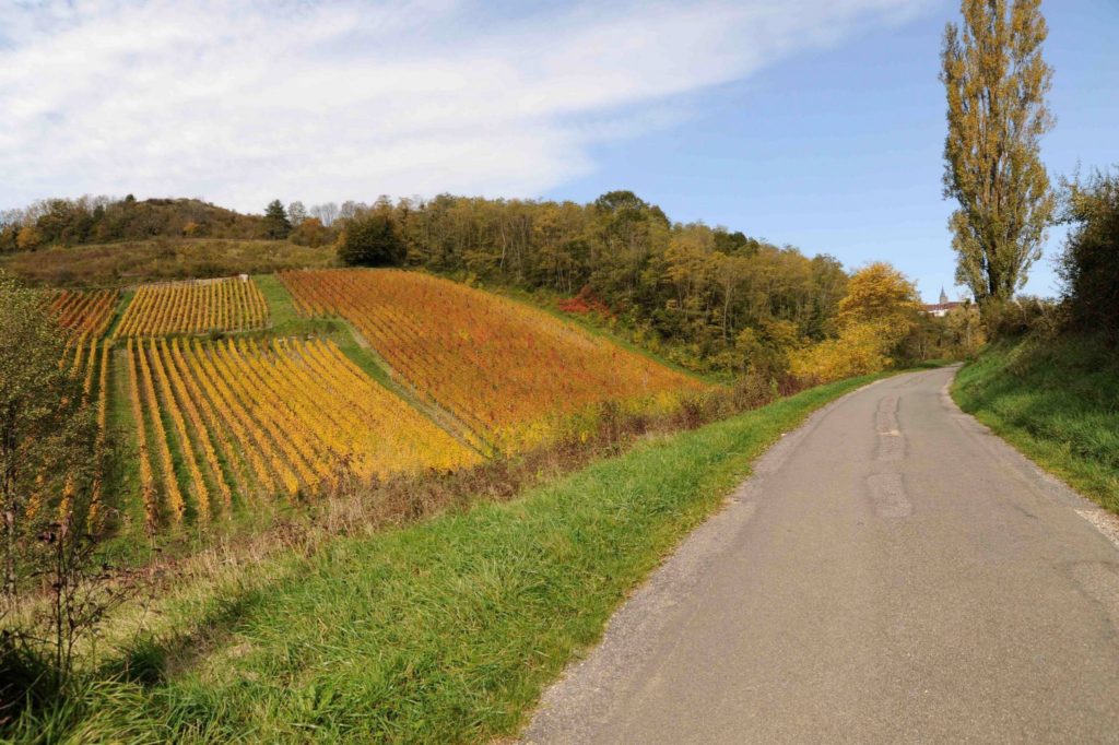 Coteau des Gautières © Michel Campy