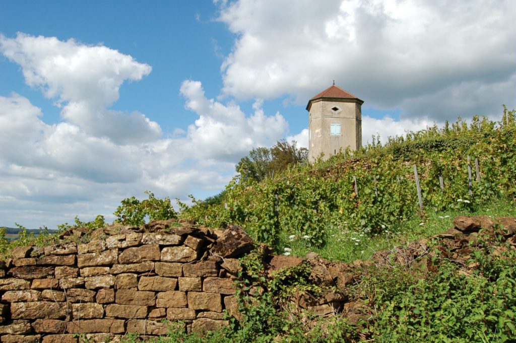 Tour de Curon (ou tour Canoz) à Arbois