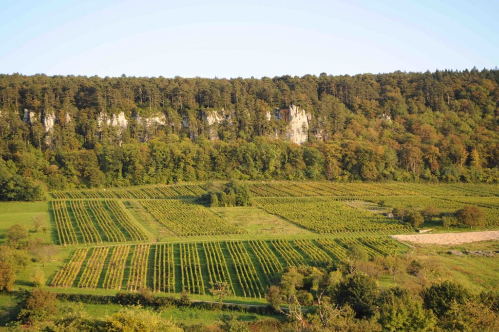 Coteau viticole de Chevraudes au pied des «pénitents» © Michel Campy