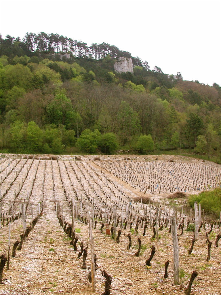 Coteau viticole de Chevraudes au pied des «pénitents» © Michel Campy
