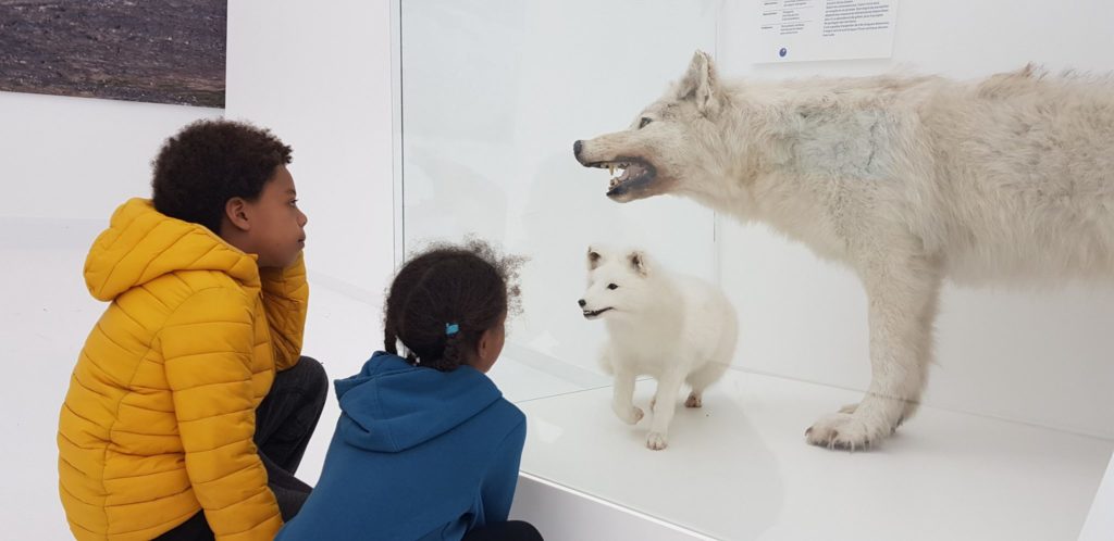 Espace des Mondes Polaires – Station des Rousses, © Jura Tourisme