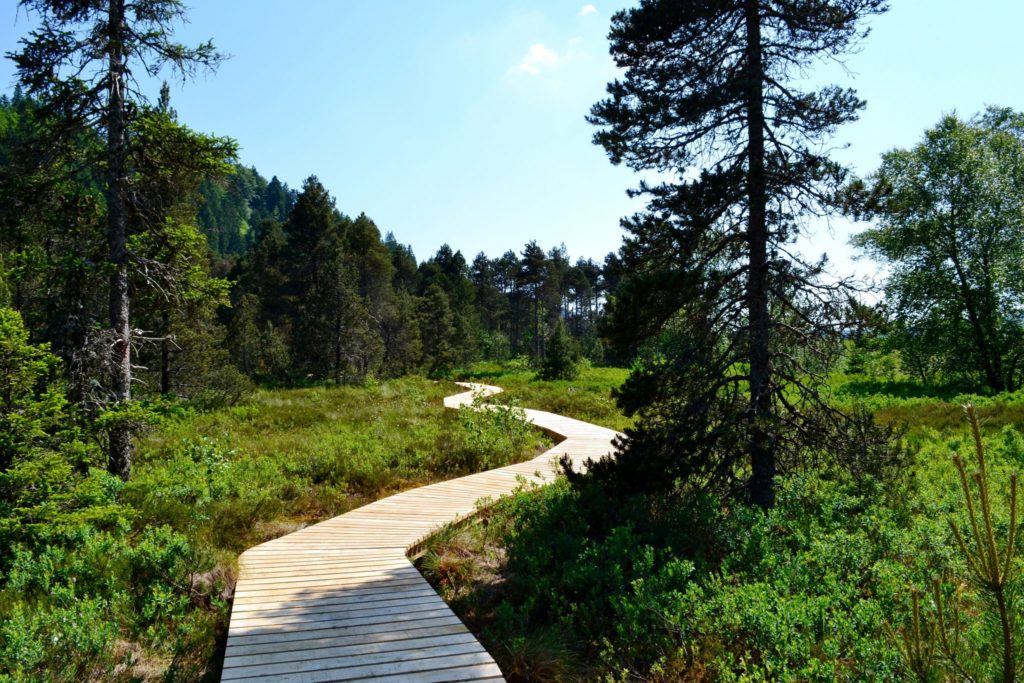 Tourbière de Prénovel / Nanchez © Jura Tourisme