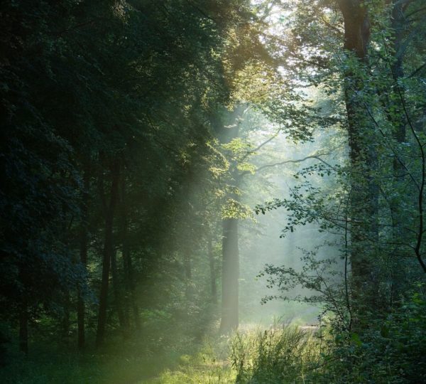 © Stéphane Godin/Jura Tourisme