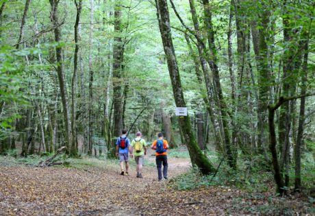 Randonneurs en Forêt de Chaux © Vincent Gaudin/Jura Tourisme