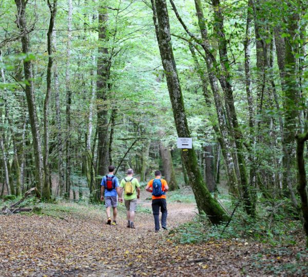 Randonneurs en Forêt de Chaux © Vincent Gaudin/Jura Tourisme