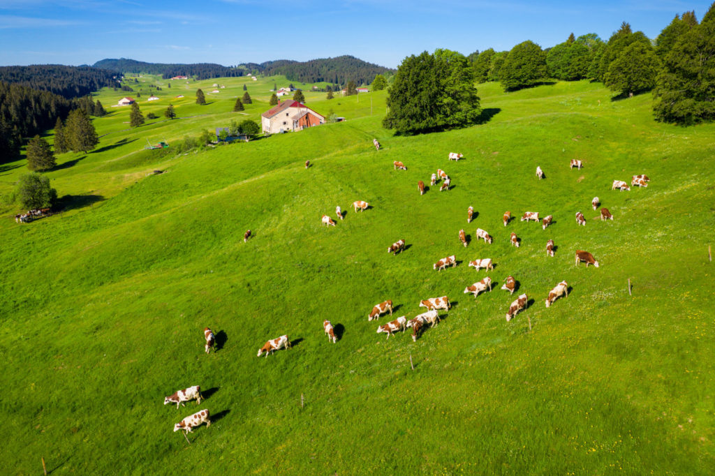Hautes-Combes © Stéphane Godin / Jura Tourisme