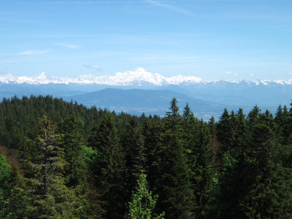 Forêt du Massacre © Jura Tourisme 