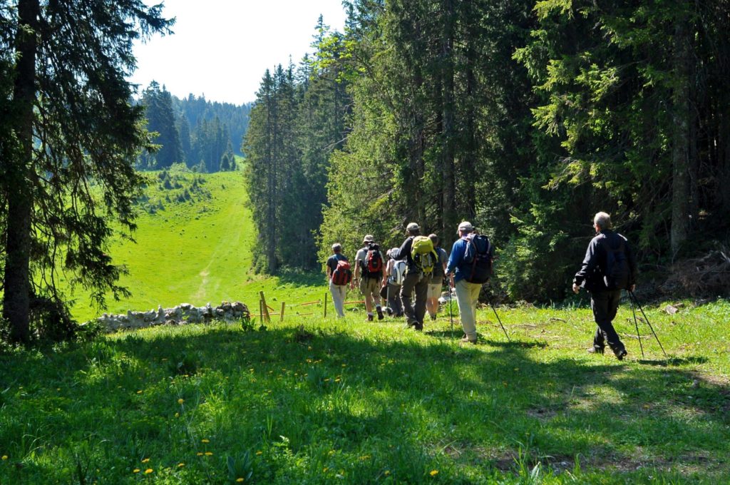 Randonnée dans le Haut-Jura © Jack Carrot/Jura Tourisme 