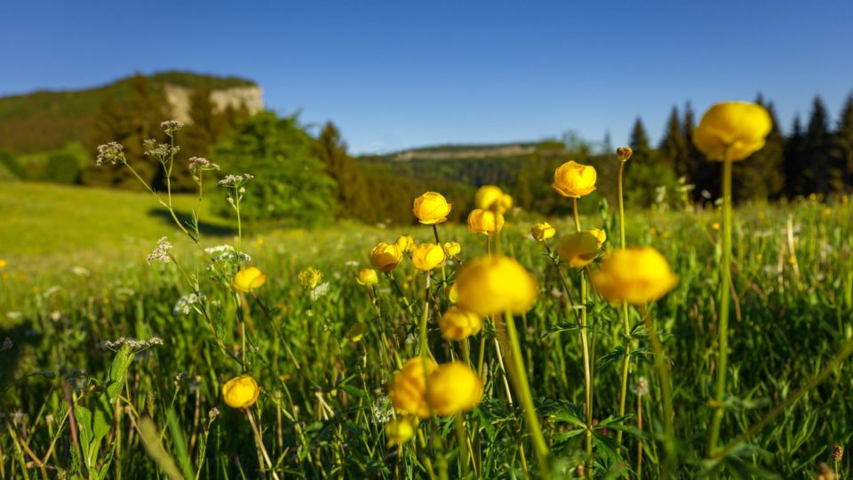Mont Fier © Stéphane Godin / Jura Tourisme