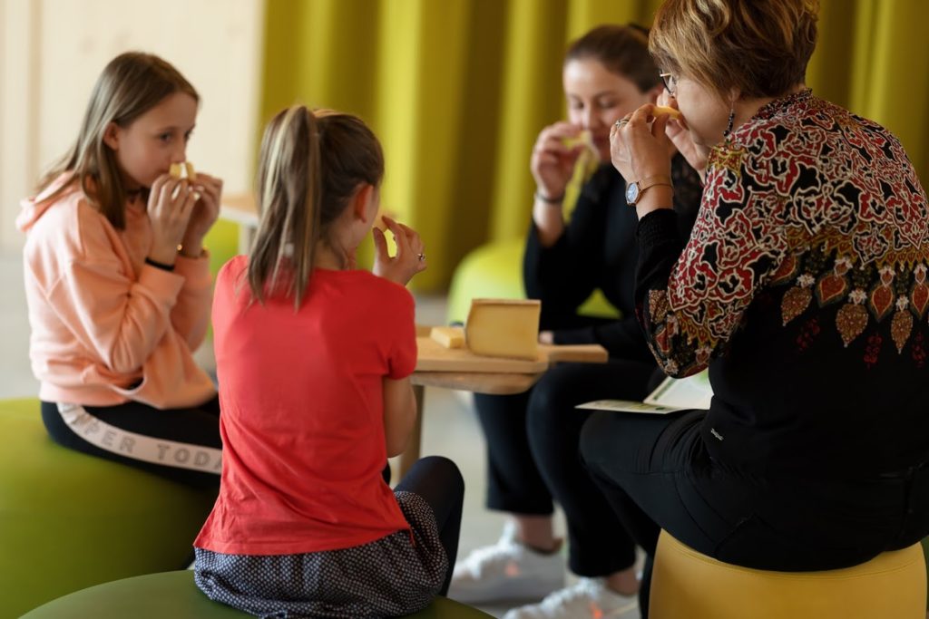 Maison du Comté © Stéphane Godin
