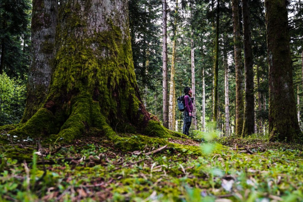 © Les Géonautrices / Jura Tourisme