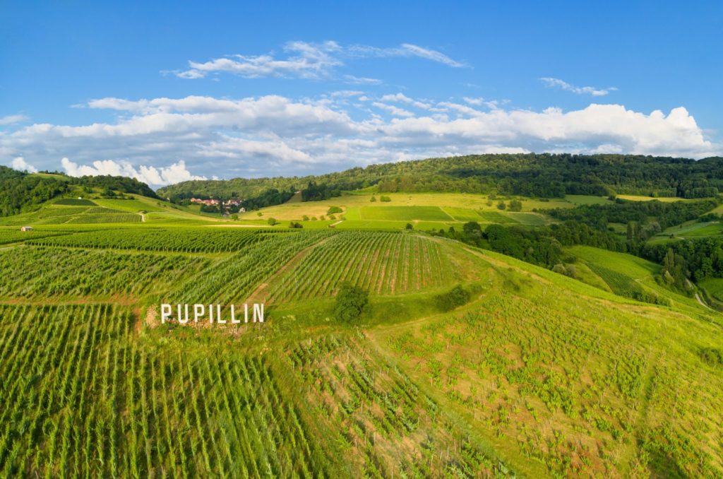 Vignes de Pupillin © Stéphane Godin/Jura Tourisme 