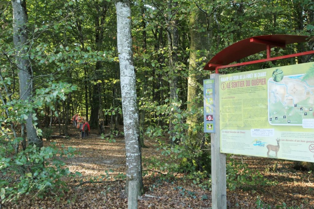 Sentier du Guêpier en forêt de Chaux © Jura Nord