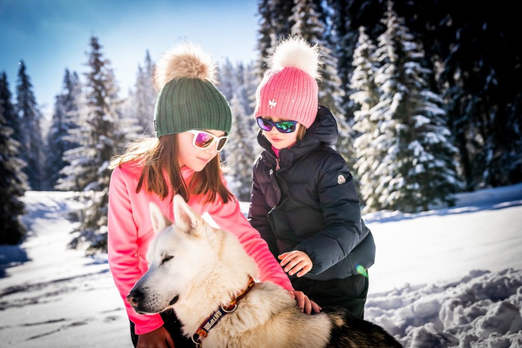 Chiens de traineaux © Benjamin Becker/Jura Tourisme