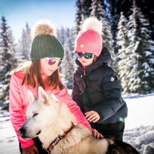 Chiens de traineaux © Benjamin Becker/Jura Tourisme