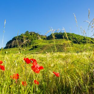 Château-Chalon © Stéphane Godin/Jura Tourisme