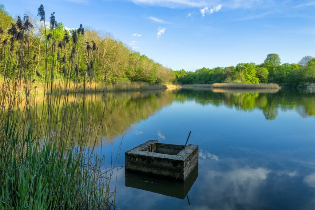 Étang de Bresse © Stéphane Godin / Jura Tourisme