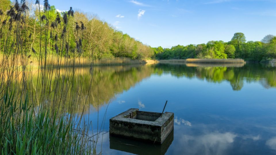 Étang de Bresse © Stéphane Godin / Jura Tourisme