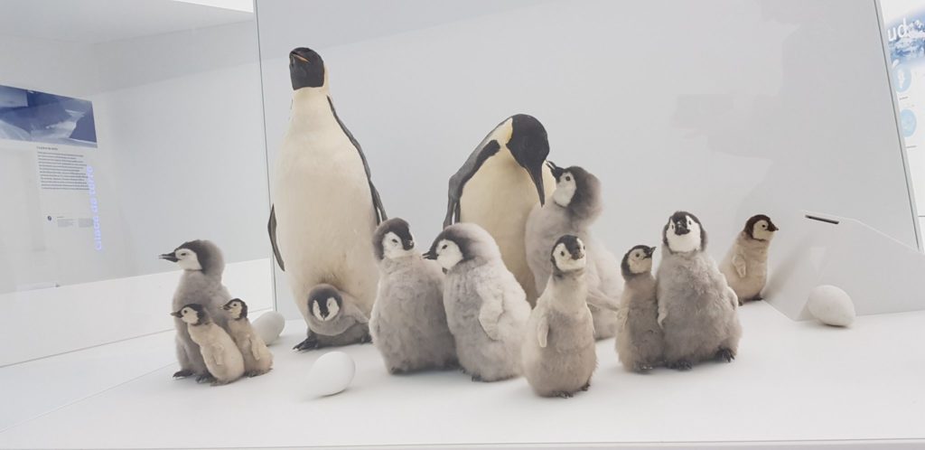 Espace des Mondes Polaires © Jura Tourisme