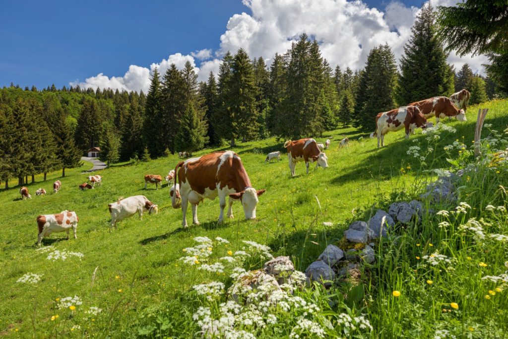 © Stéphane Godin/Jura Tourisme 