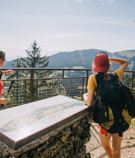 Le belvédère des Dappes