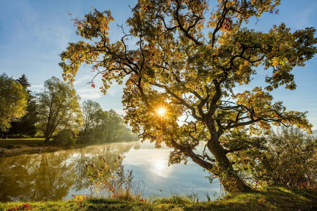 Etangs du Pasquier - © Stéphane Godin/Jura Tourisme