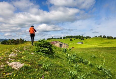 Randonneuse aux Molunes