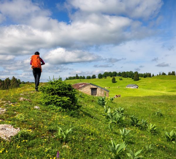 Randonneuse aux Molunes