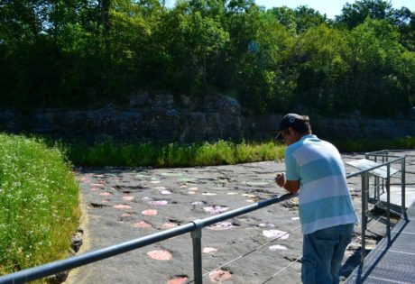 Traces de dinosaure à Loulle