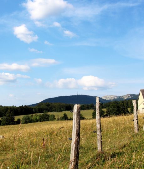 Le Parc naturel régional Jura vaudois