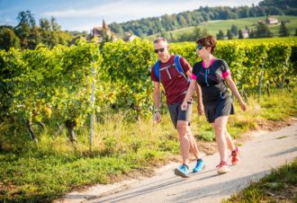 Le Vignoble de la Côte