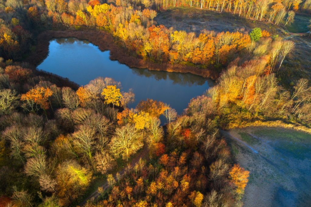 Etangs de la Bresse © Stéphane Godin/Jura Tourisme