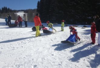 Free Sled – Chiens de traîneaux et traîneaux Kids