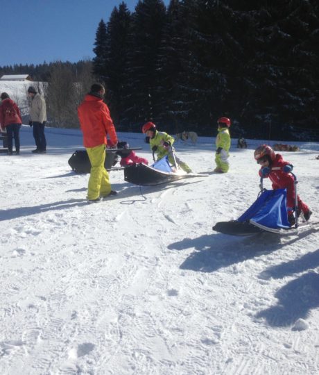 Free Sled – Chiens de traîneaux et traîneaux Kids