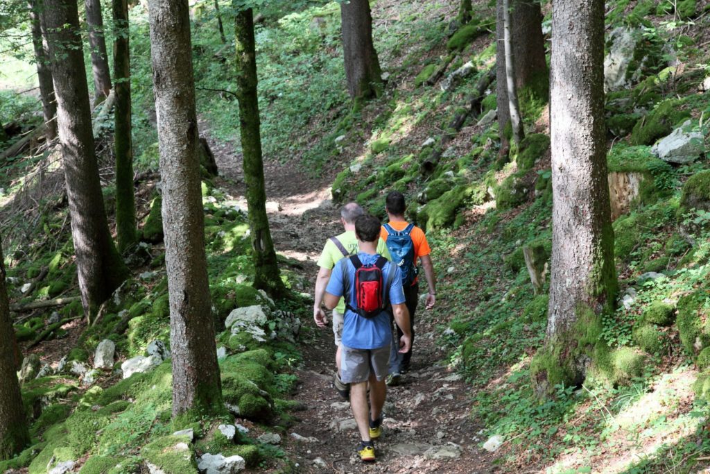 Randonneurs en forêt © Vincent Gaudin/Jura Tourisme