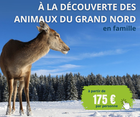 A la découverte des animaux du Grand Nord