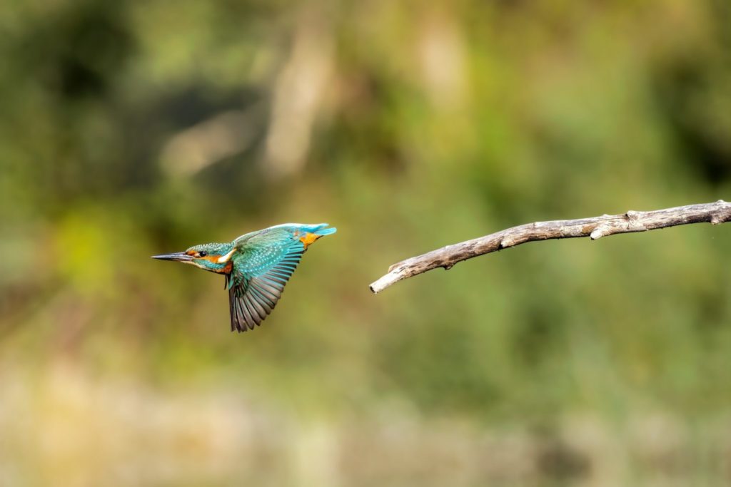 © A hauteur d'oeil/Jura Tourisme 