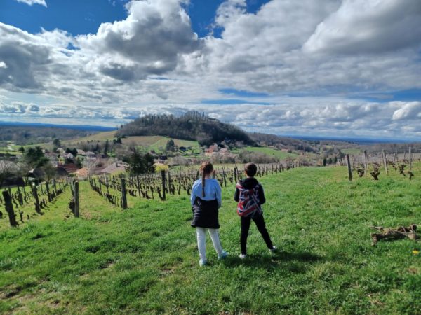 À la découverte des trésors cachés du vignoble de l’Étoile